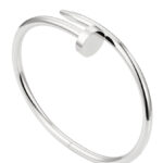 Cartier Juste un Clou bracelet 6062517