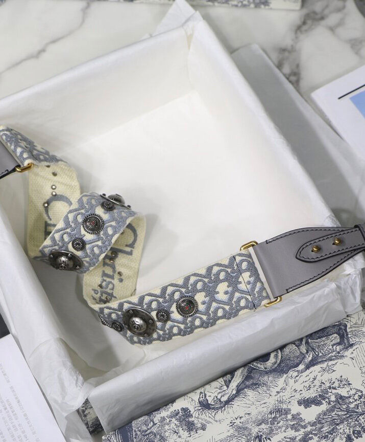 Christian Dior Canvas Strap Gray