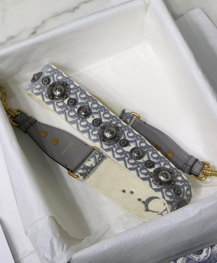 Christian Dior Canvas Strap Gray