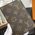 Louis Vuitton Passport Coverp Brown M64502
