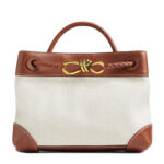 Bottega Veneta Small Andiamo Coffee