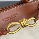 Bottega Veneta Small Andiamo Coffee
