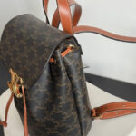 Celine Backpack Celine Bonnie In Triomphe Canvas And Calfskin Coffee