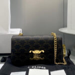 Celine Chain Shoulder Bag Triomphe In Triomphe Canvas Coffee