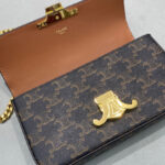 Celine Chain Shoulder Bag Triomphe In Triomphe Canvas Coffee
