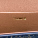 Celine Chain Shoulder Bag Triomphe In Triomphe Canvas Coffee