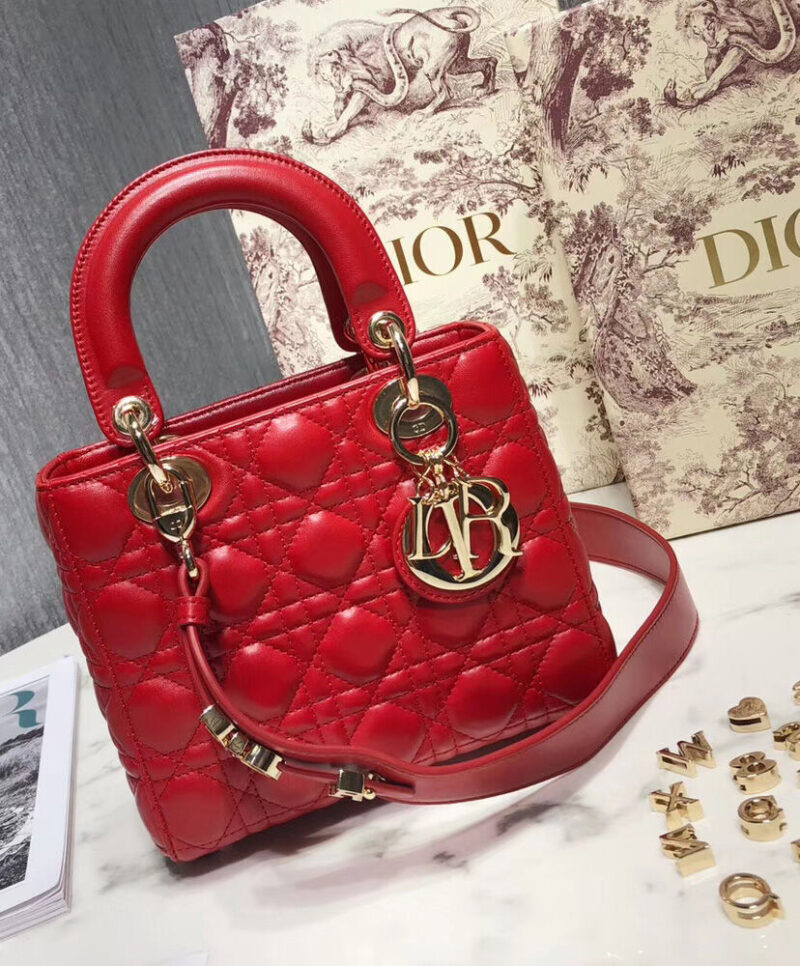 Christian Dior My ABCDior Lambskin Bag