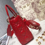 Christian Dior My ABCDior Lambskin Bag