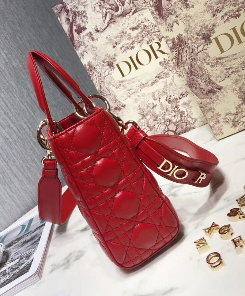Christian Dior My ABCDior Lambskin Bag