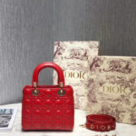 Christian Dior My ABCDior Lambskin Bag