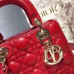 Christian Dior My ABCDior Lambskin Bag
