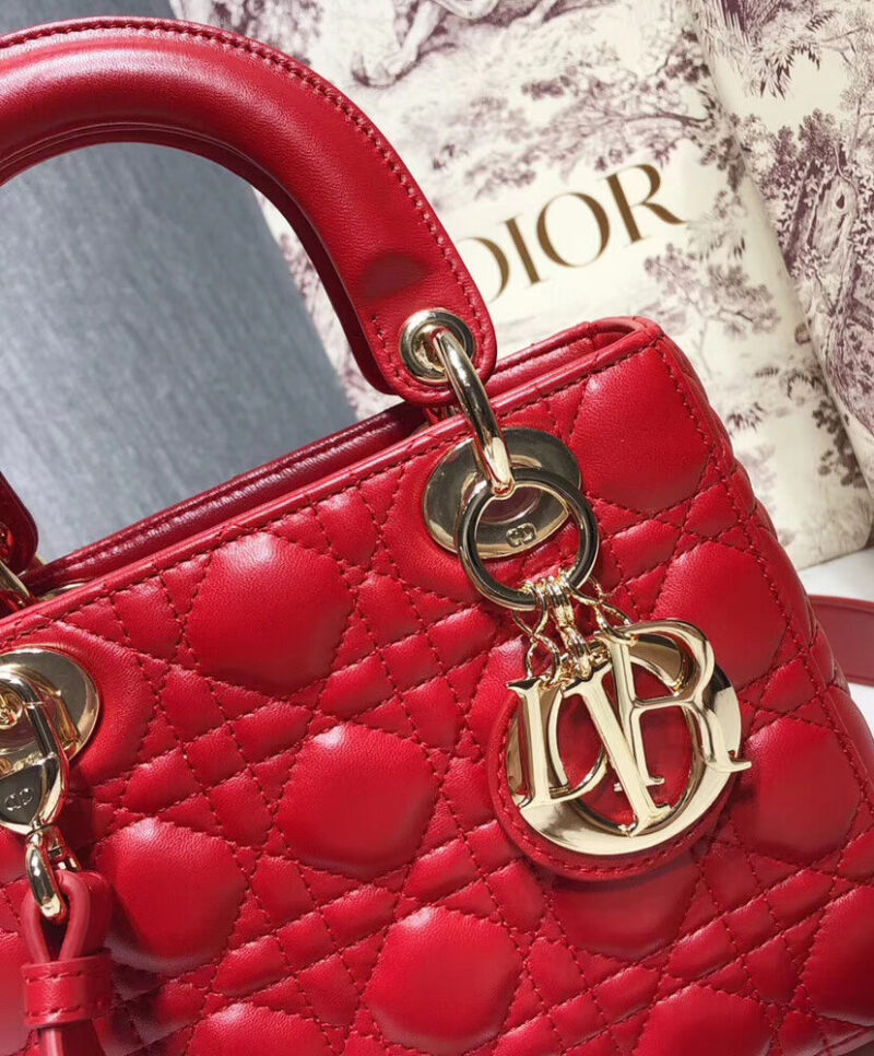 Christian Dior My ABCDior Lambskin Bag