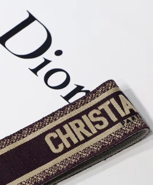 Christian Dior Wide shoulder strap S8540
