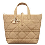 Christian Dior Medium Dior Toujours Vertical Tote Bag
