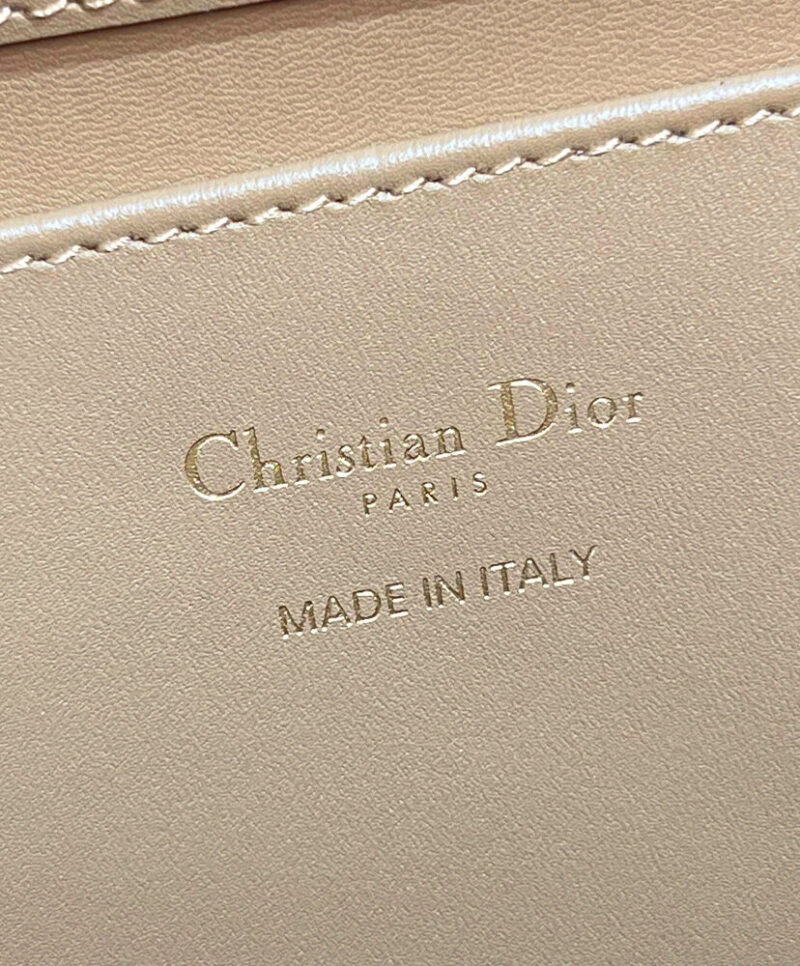 Christian Dior Medium Dior Toujours Vertical Tote Bag