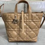 Christian Dior Medium Dior Toujours Vertical Tote Bag