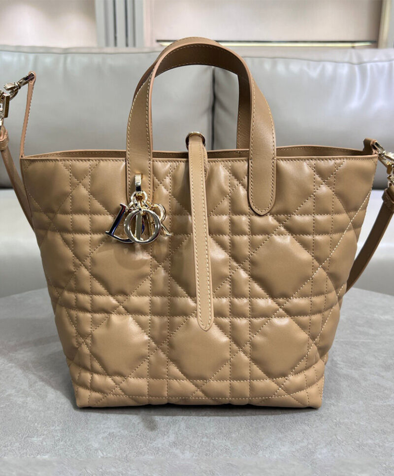 Christian Dior Medium Dior Toujours Vertical Tote Bag