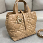 Christian Dior Medium Dior Toujours Vertical Tote Bag