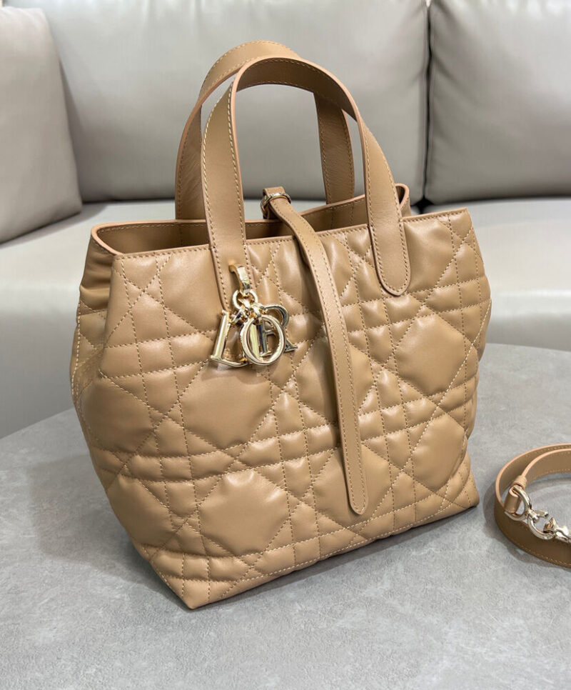 Christian Dior Medium Dior Toujours Vertical Tote Bag