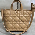 Christian Dior Medium Dior Toujours Vertical Tote Bag
