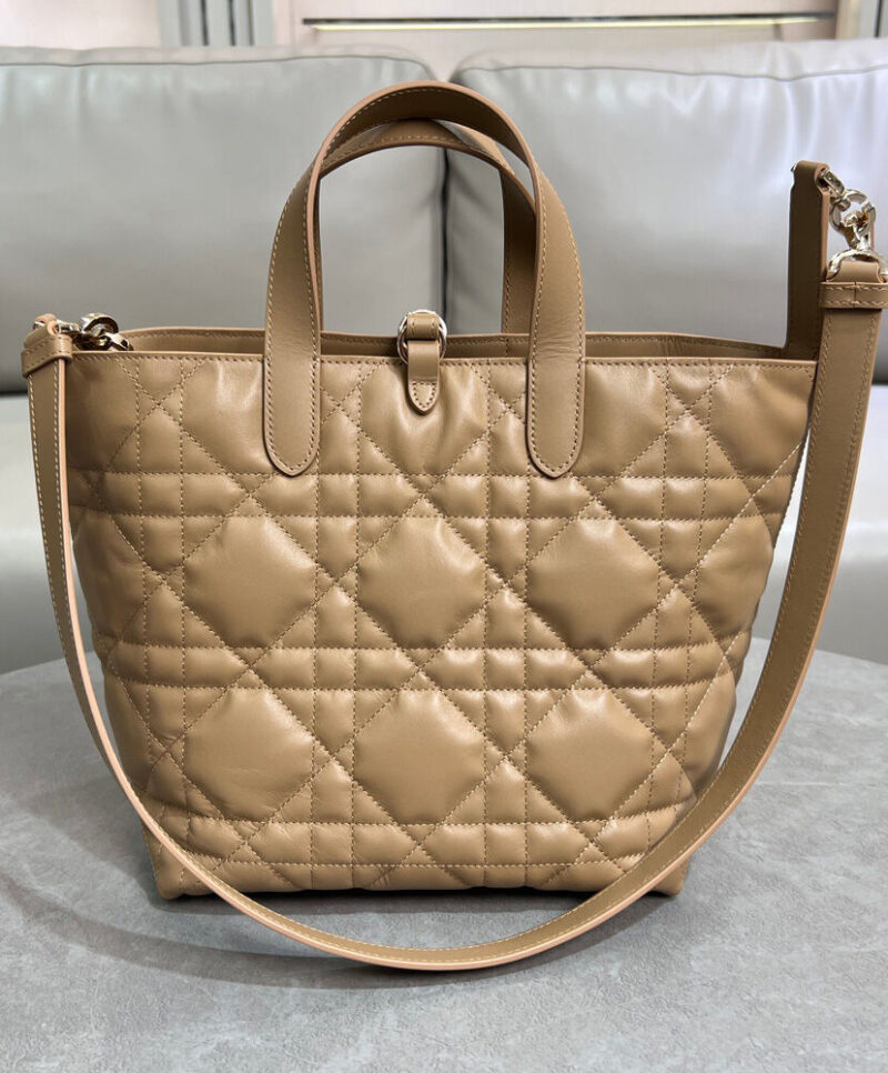 Christian Dior Medium Dior Toujours Vertical Tote Bag