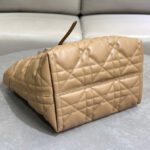Christian Dior Medium Dior Toujours Vertical Tote Bag