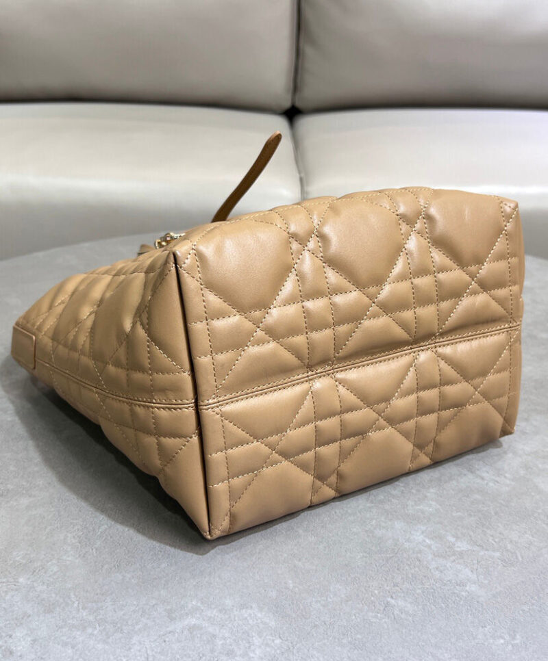 Christian Dior Medium Dior Toujours Vertical Tote Bag