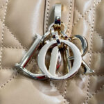 Christian Dior Medium Dior Toujours Vertical Tote Bag