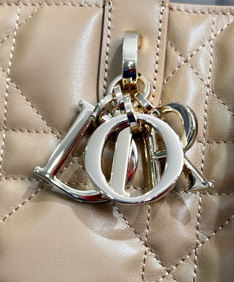 Christian Dior Medium Dior Toujours Vertical Tote Bag