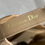 Christian Dior Medium Dior Toujours Vertical Tote Bag