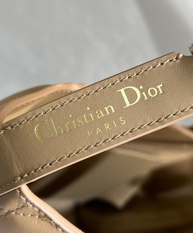 Christian Dior Medium Dior Toujours Vertical Tote Bag