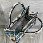 Christian Dior Small Dior Book Tote Blue