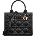Christian Dior Small Dior Book Tote Black