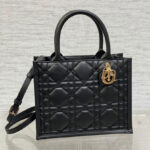 Christian Dior Small Dior Book Tote Black