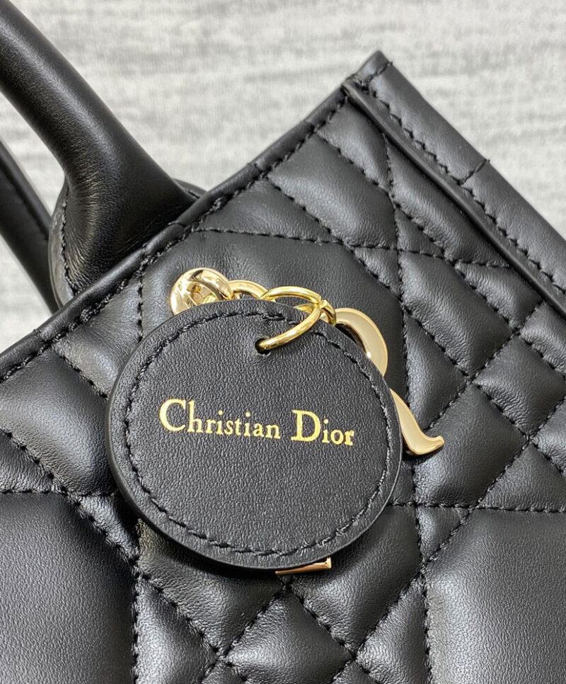 Christian Dior Small Dior Book Tote Black
