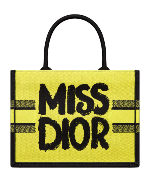 Christian Dior Medium Dior Book Tote