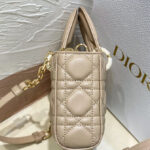 Christian Dior Small Lady D-Joy Bag