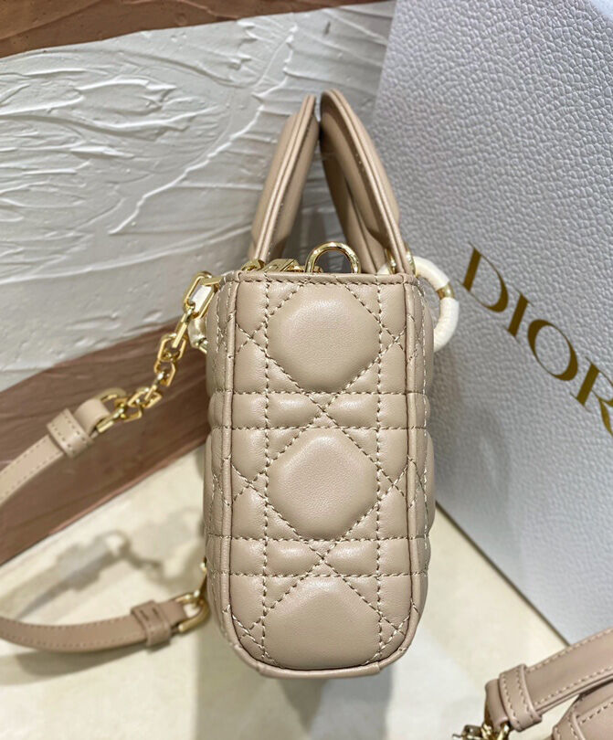 Christian Dior Small Lady D-Joy Bag