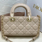 Christian Dior Small Lady D-Joy Bag