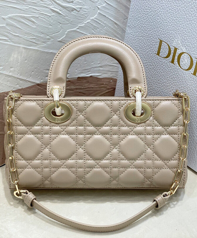 Christian Dior Small Lady D-Joy Bag