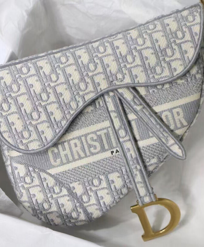 Christian Dior Saddle Original Oblique Embroidered Canvas Bag Gray