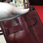 Hermes Birkin 30 Rouge Exotic Lizard Bag