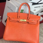 Hermes Birkin 25 Lizard leather