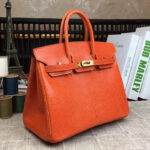 Hermes Birkin 25 Lizard leather