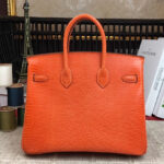 Hermes Birkin 25 Lizard leather