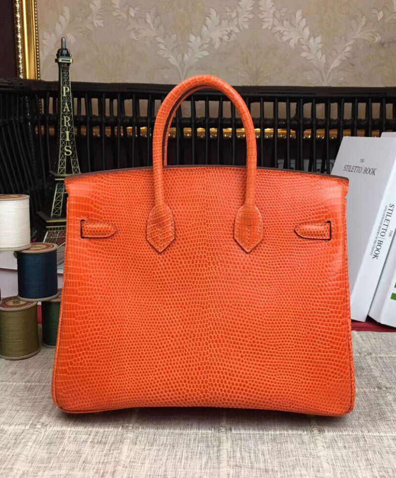 Hermes Birkin 25 Lizard leather