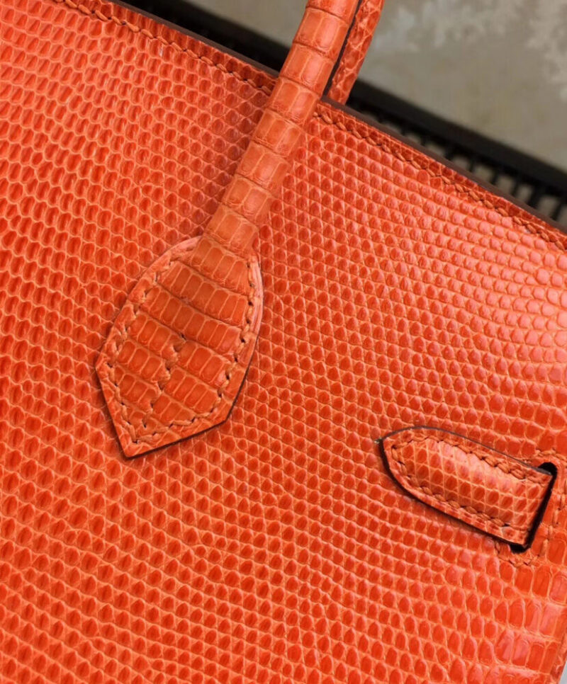 Hermes Birkin 25 Lizard leather