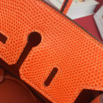 Hermes Birkin 25 Lizard leather