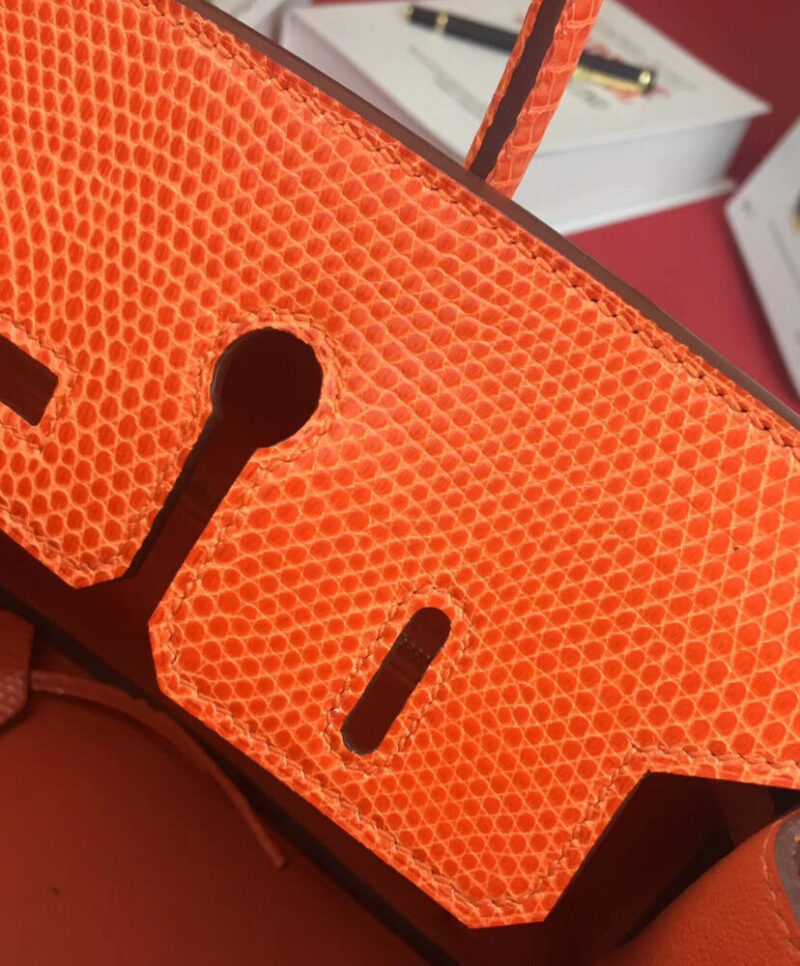 Hermes Birkin 25 Lizard leather