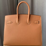 Hermes Birkin 25 Bronze Epsom Light Coffee